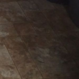 Meet your Posher, Tracy